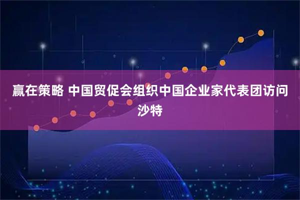 赢在策略 中国贸促会组织中国企业家代表团访问沙特