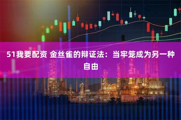 51我要配资 金丝雀的辩证法:当牢笼成为另一种自由