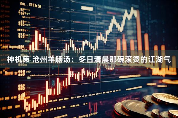 神机策 沧州羊肠汤：冬日清晨那碗滚烫的江湖气