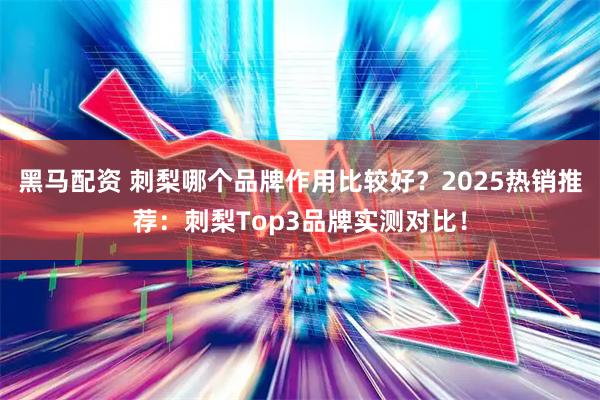 黑马配资 刺梨哪个品牌作用比较好？2025热销推荐：刺梨Top3品牌实测对比！